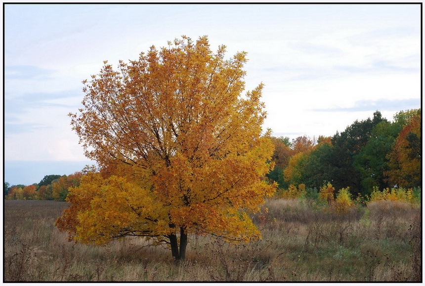 photo "***" tags: landscape, nature, autumn