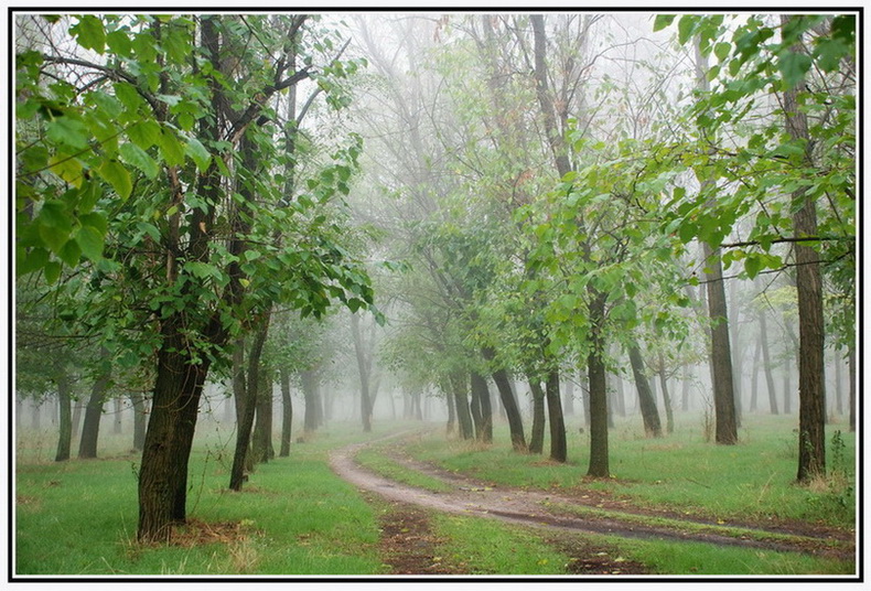 photo "***" tags: landscape, nature, autumn