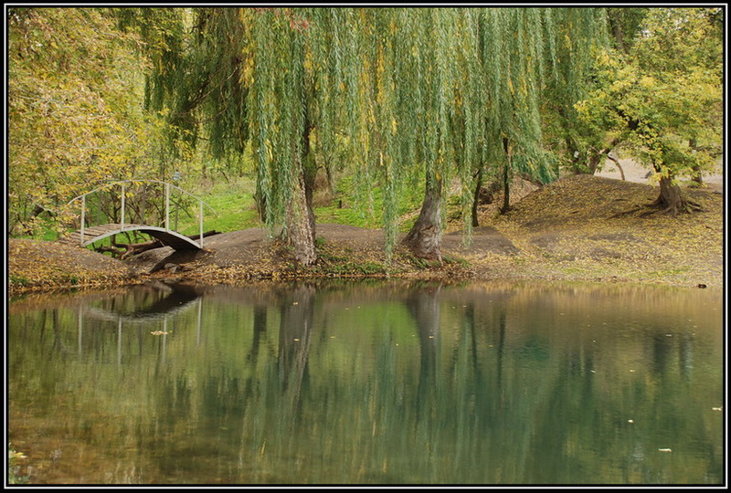 photo "***" tags: landscape, autumn