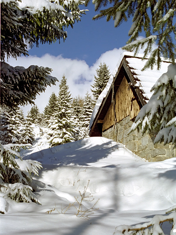 photo "***" tags: landscape, winter