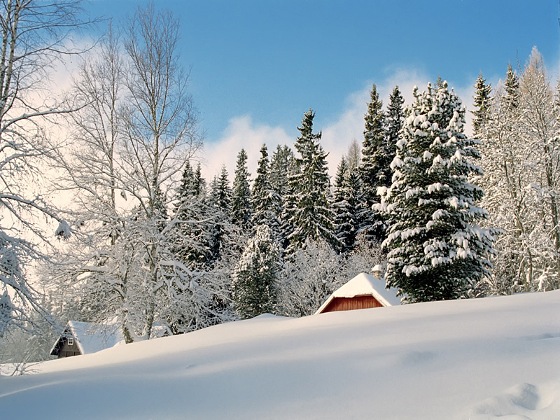 Бывают ли зимние. Словакия Татры зима. Татры Словакия зимой. Природа Словакии зимой. Снегопад Словакии.