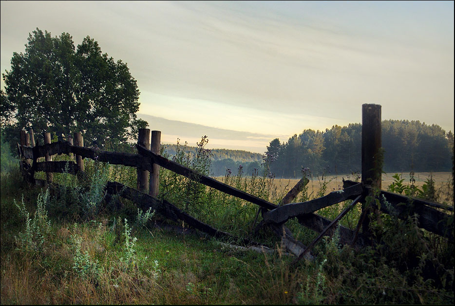 photo "Rural landscape" tags: landscape, summer