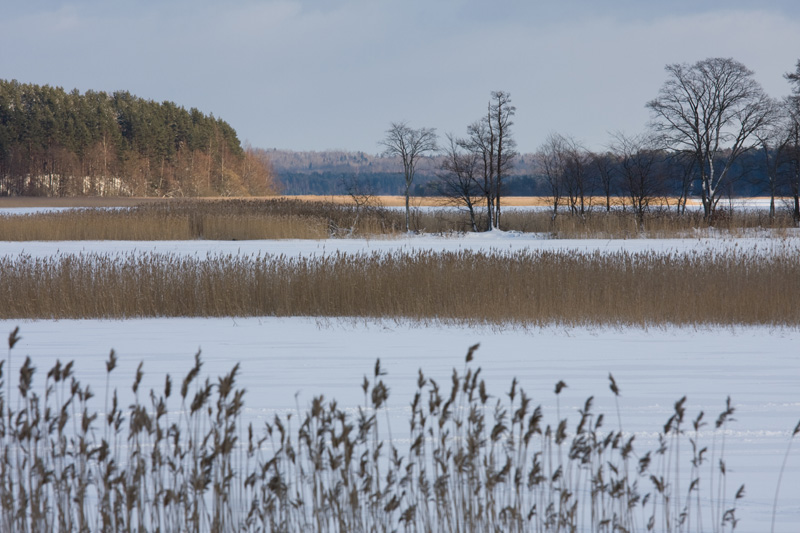 фото "Селигер зимой" метки: пейзаж, зима