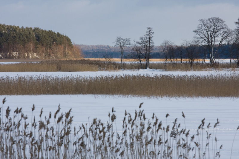 photo "***" tags: landscape, winter