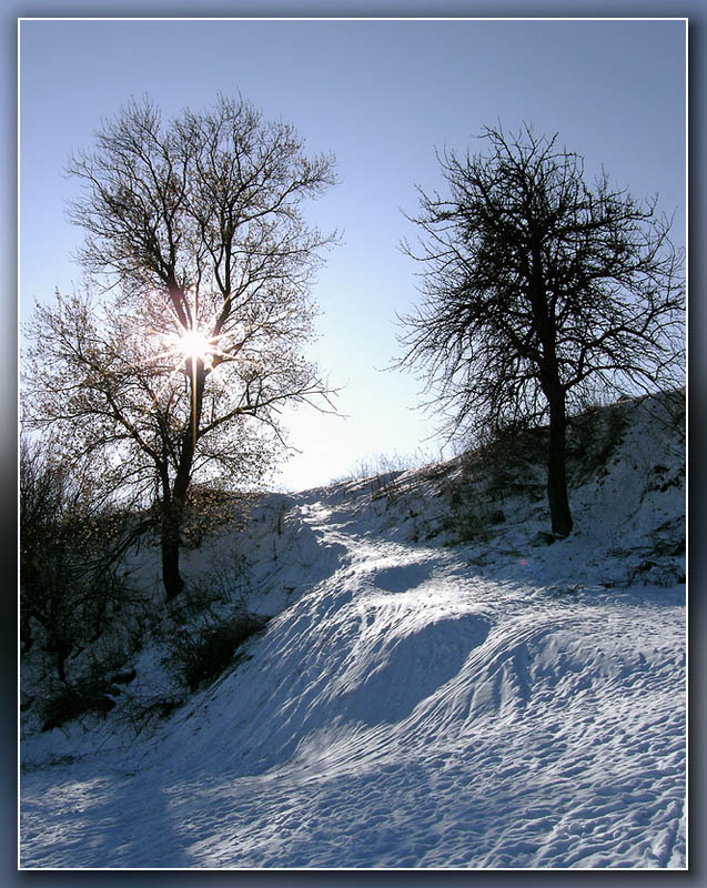фото "Звезда по имени Солнце" метки: пейзаж, зима