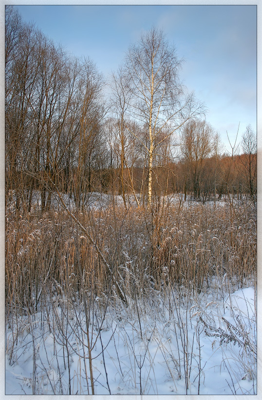 фото "заснежило" метки: , 