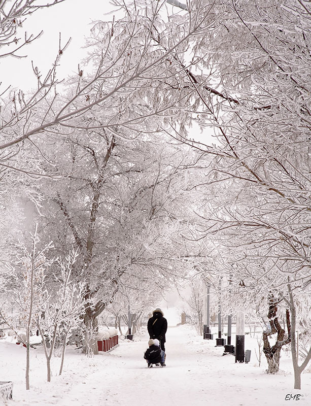 photo "***" tags: landscape, reporting, winter