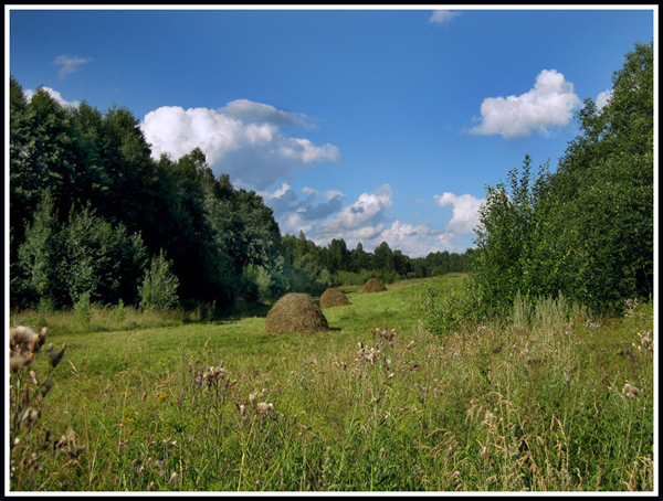 photo "***" tags: landscape, summer