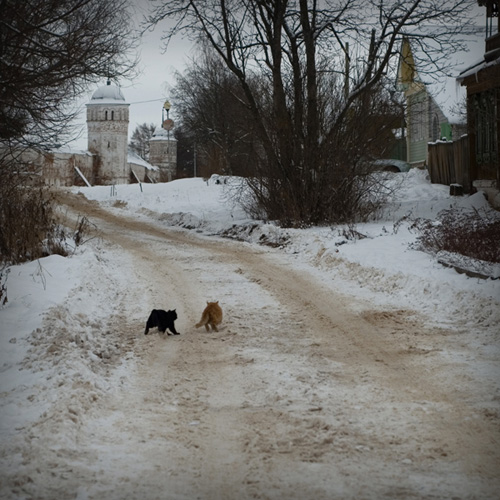 photo "***" tags: landscape, winter