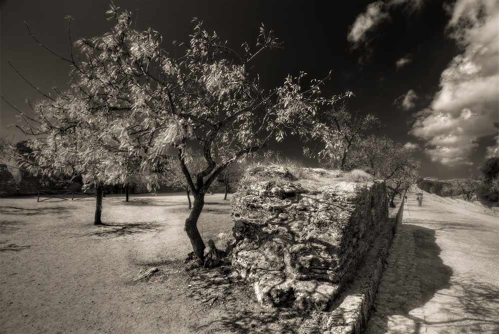 photo "Heat" tags: landscape, black&white, 