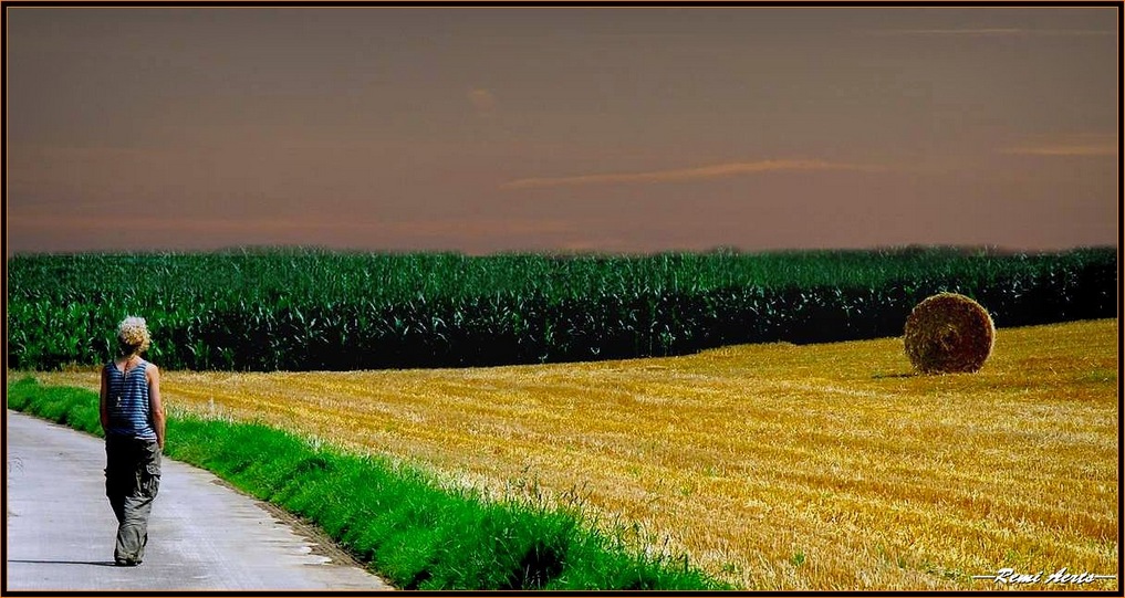 photo "along the fields" tags: landscape, travel, summer