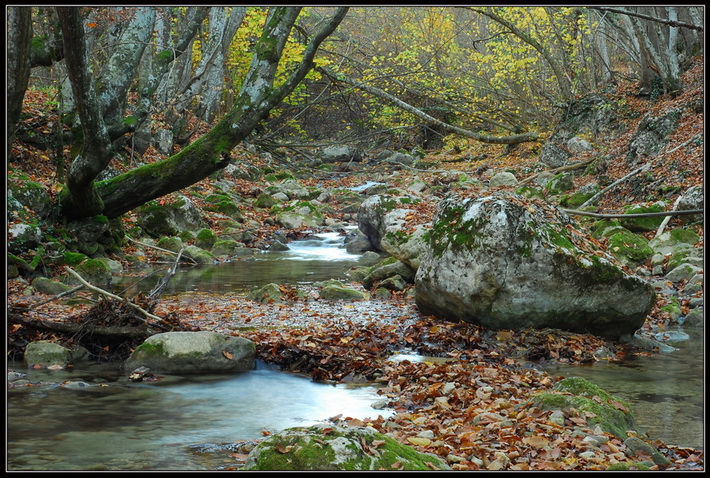 photo "***" tags: landscape, autumn