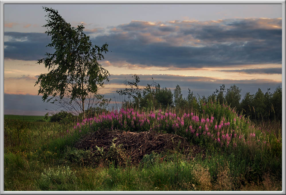 photo "The evening silence." tags: landscape, summer