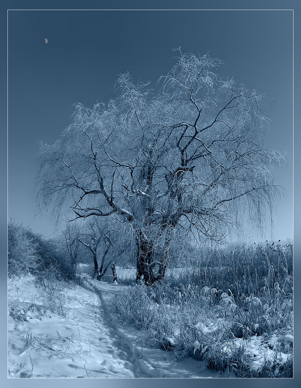 фото "Прогулки под луной 2" метки: пейзаж, зима