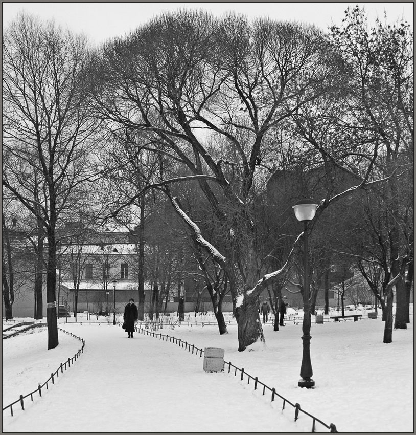 photo "in Winter Park" tags: landscape, winter