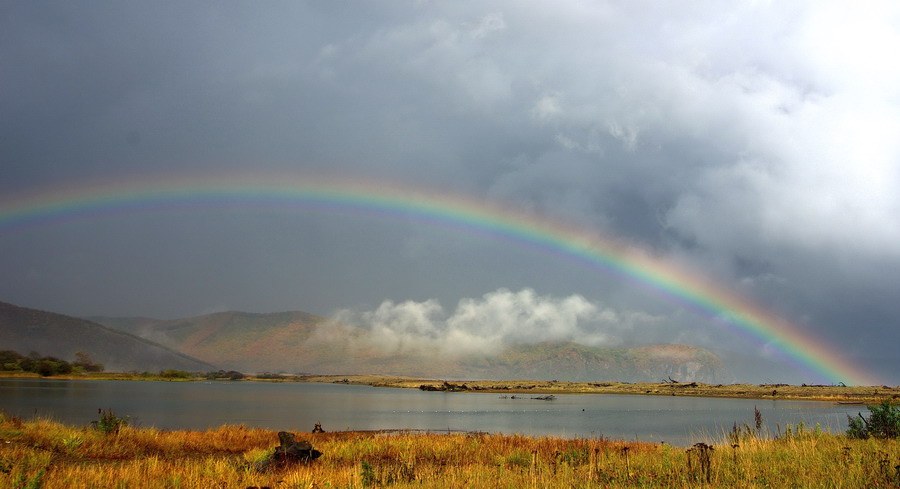 фото "IN RAINBOW TONES" метки: , 