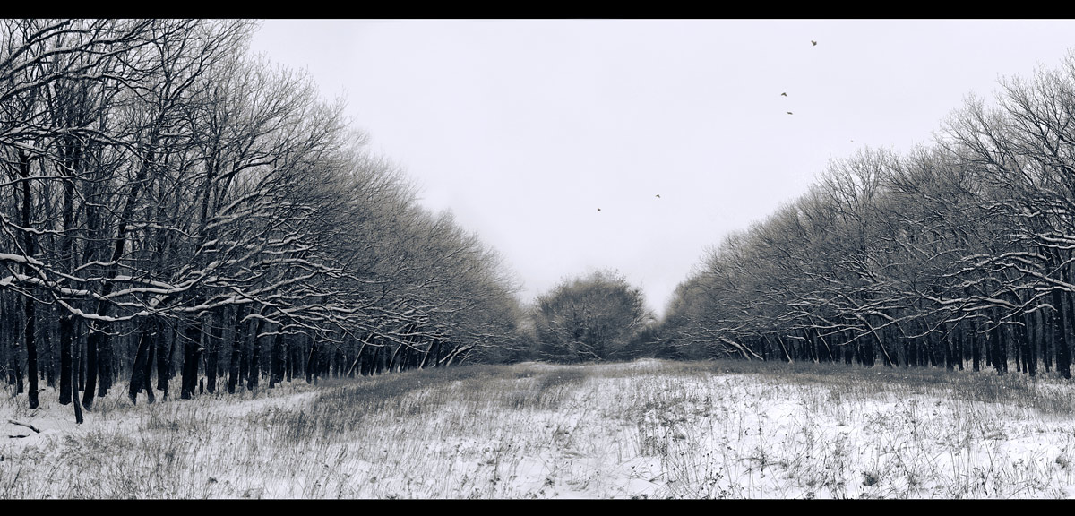 фото "Монотонность зимних гамм..." метки: пейзаж, панорама, зима