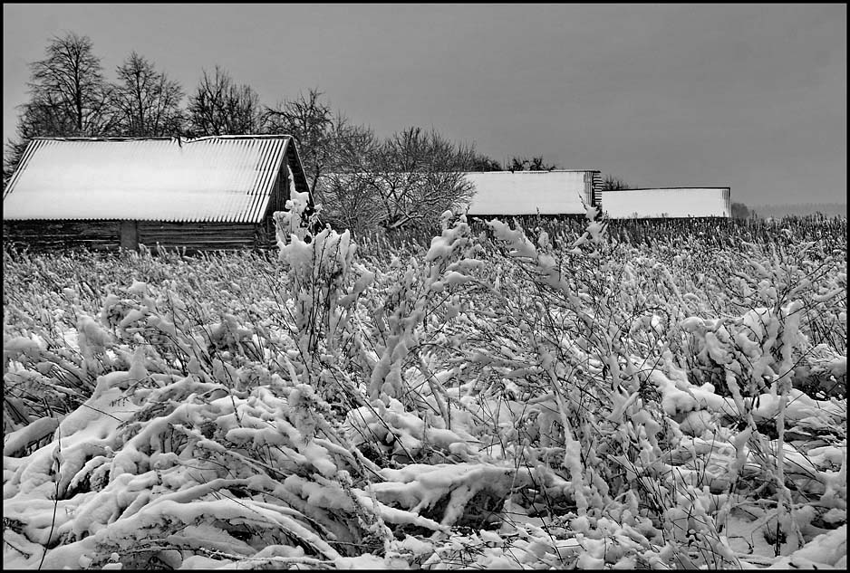 photo "Until the spring there is no way" tags: landscape, winter