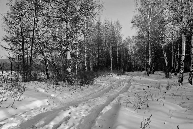 фото "Зимушка..." метки: пейзаж, черно-белые, зима