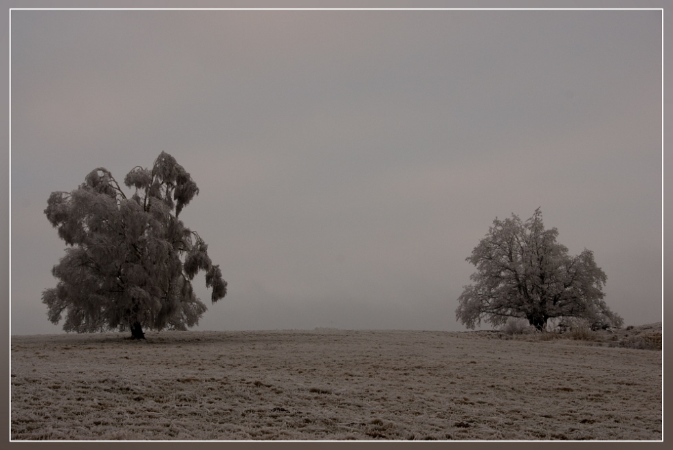 photo "my country" tags: landscape, winter