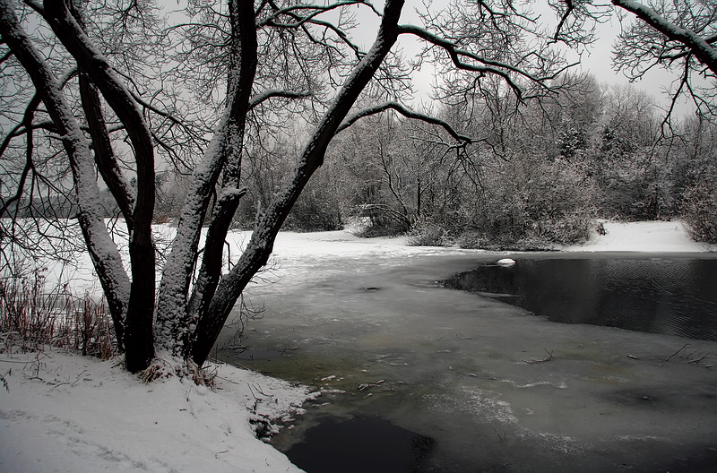 photo "***" tags: landscape, winter