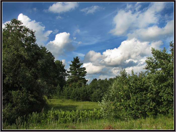 photo "***" tags: landscape, clouds, summer