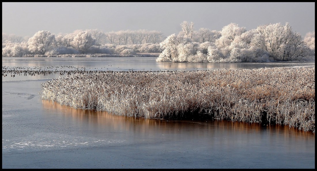 фото "***" метки: пейзаж, зима