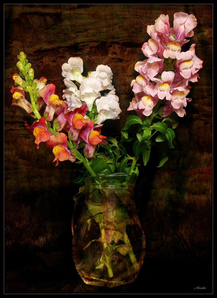 photo "Bouquet" tags: still life, 