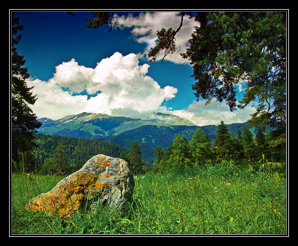 photo "***" tags: landscape, forest, mountains