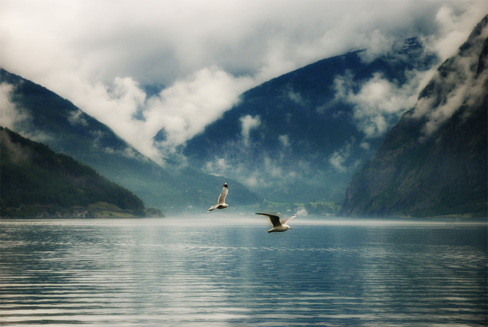 photo "Sognefjord" tags: landscape, travel, Europe
