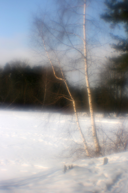 photo "***" tags: landscape, winter