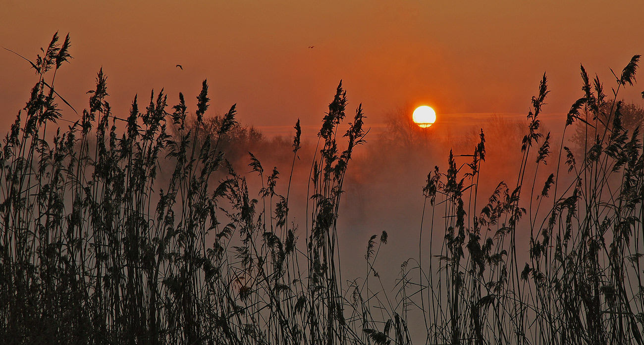 photo "***" tags: landscape, sunset, winter