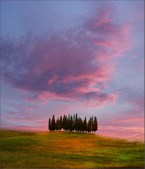 photo "Toscana 2008 color" tags: landscape, 