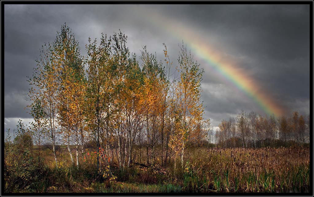 photo "Autumn Rainbow" tags: landscape, autumn