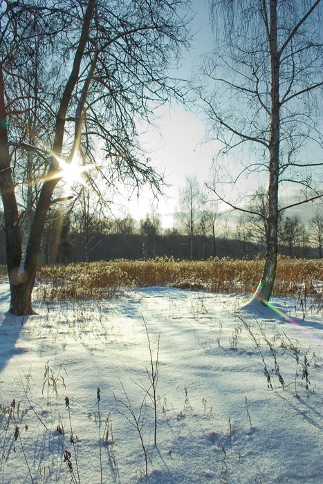 photo "***" tags: landscape, winter