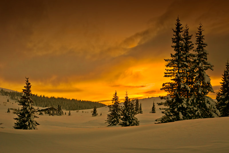 photo "Golden sunset" tags: landscape, sunset