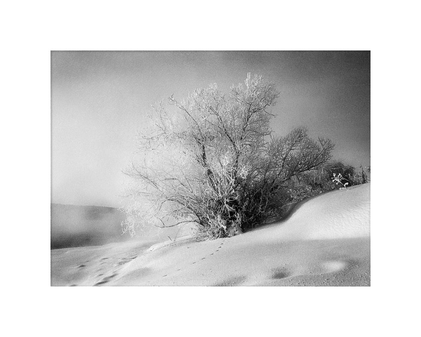 photo "***" tags: black&white, landscape, winter