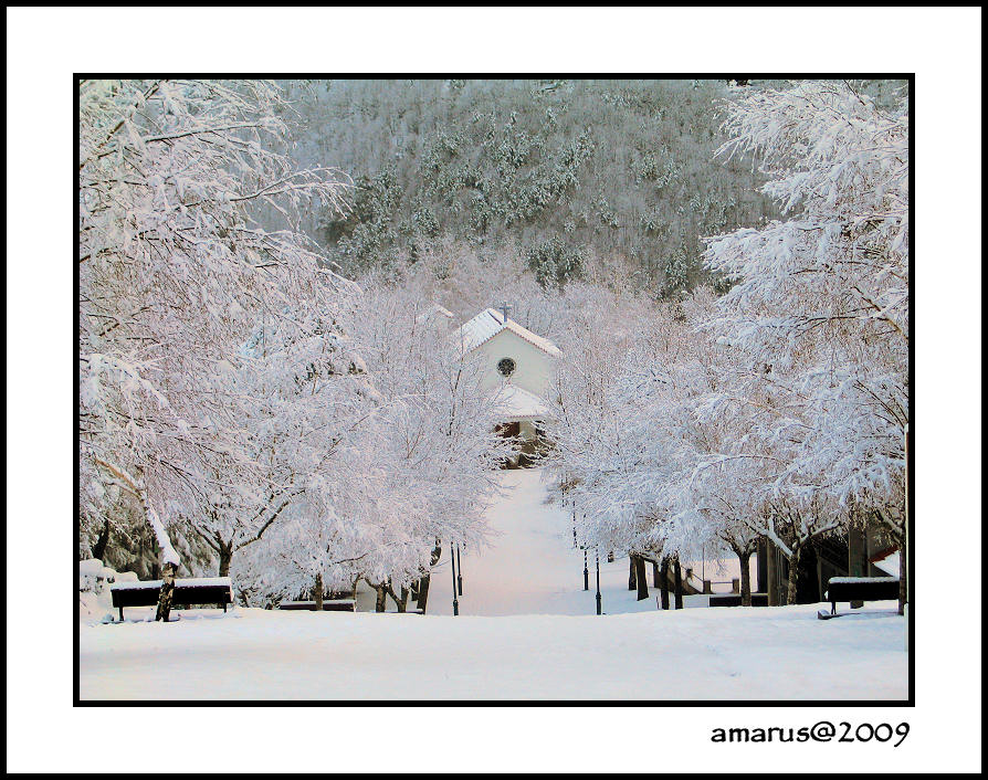 photo "Virgem" tags: landscape, winter