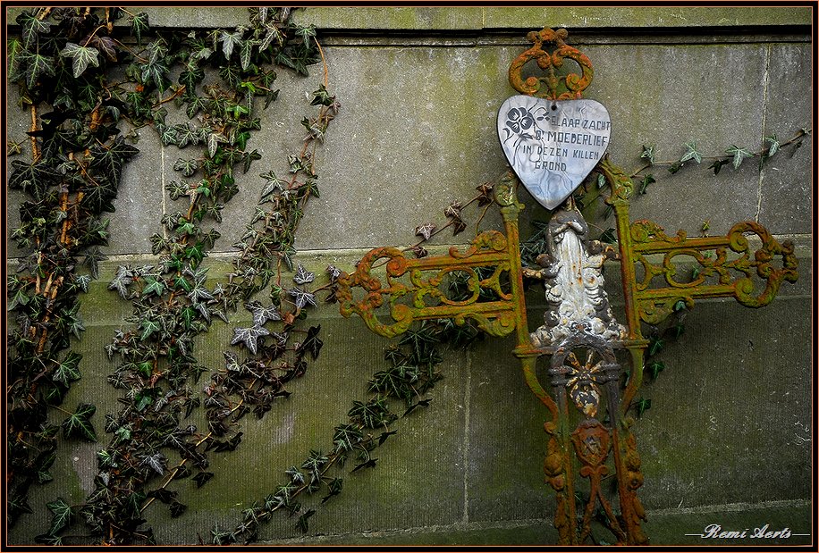 photo "old cemetery" tags: travel, nature, flowers