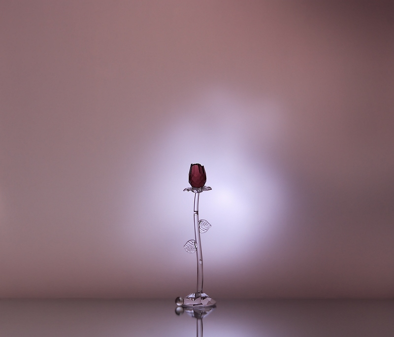 фото "scent of a rose" метки: натюрморт, 