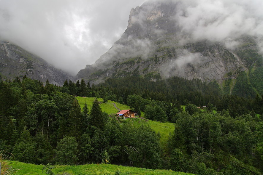 фото "Швейцарские Альпы" метки: пейзаж, горы, лес