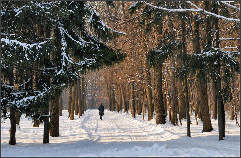 photo "relaxation" tags: landscape, forest