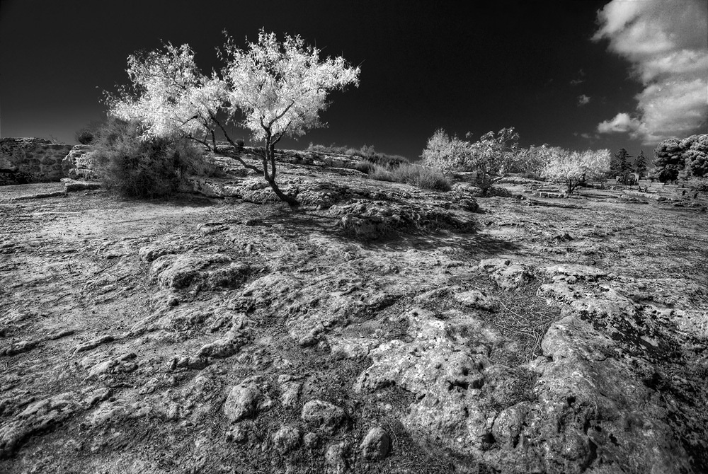 photo "****" tags: landscape, black&white, mountains