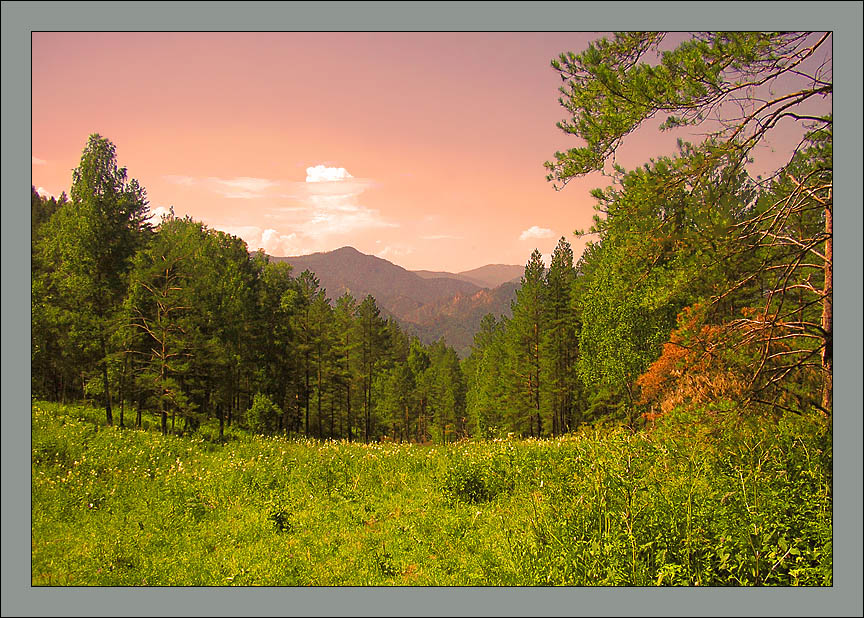 photo "Sunset in the mountains" tags: landscape, forest