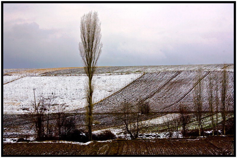 фото "Landscape nier Mozgovo" метки: пейзаж, 