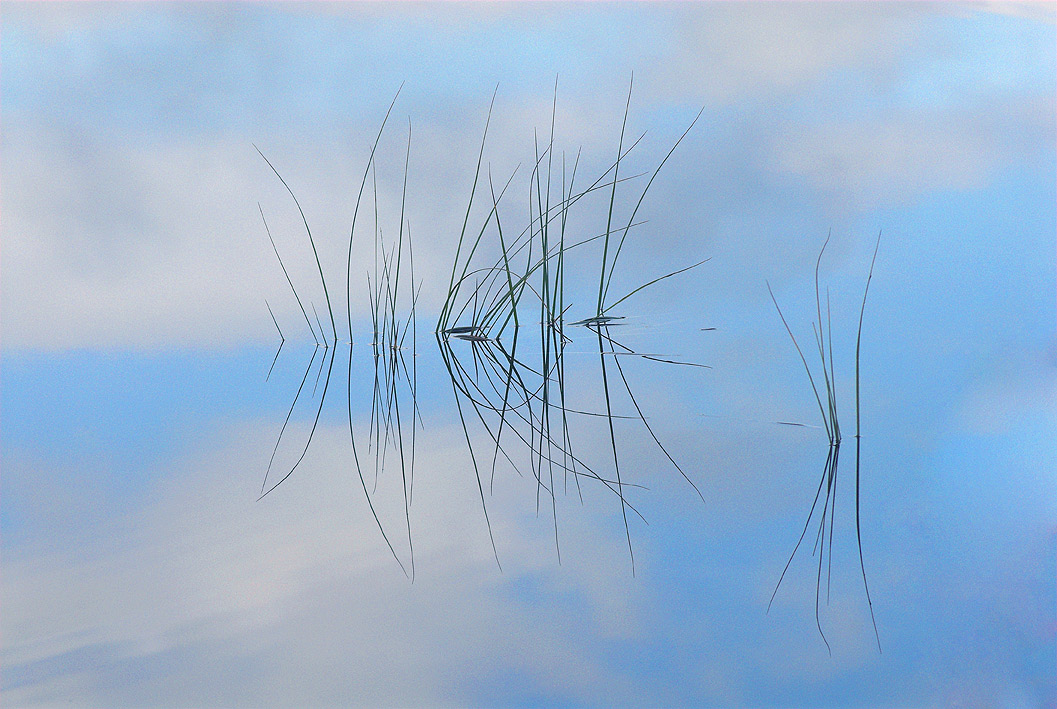 Photo Straw in water by Tor Olav Olsen landscape PhotoForum.ru
