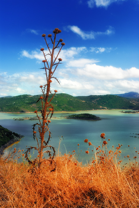 photo "Sardegna" tags: landscape, travel, Europe