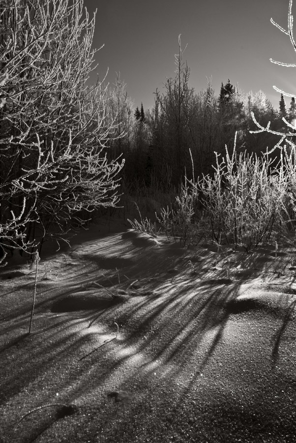 фото "Про зимний свет" метки: пейзаж, зима