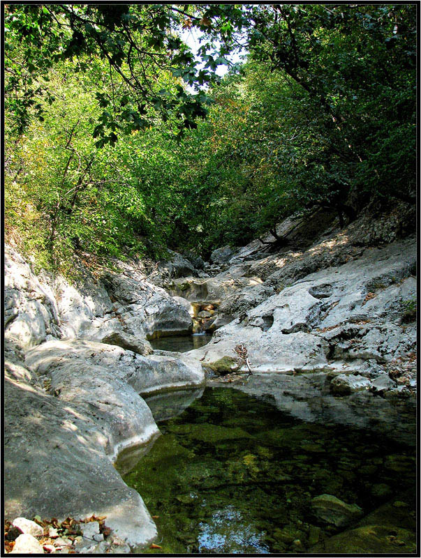 photo "***" tags: landscape, forest, water