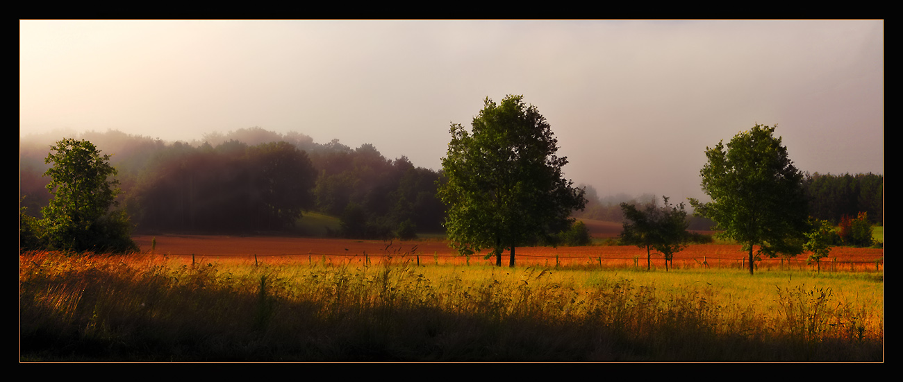 photo "After the Rain" tags: landscape, panoramic, summer